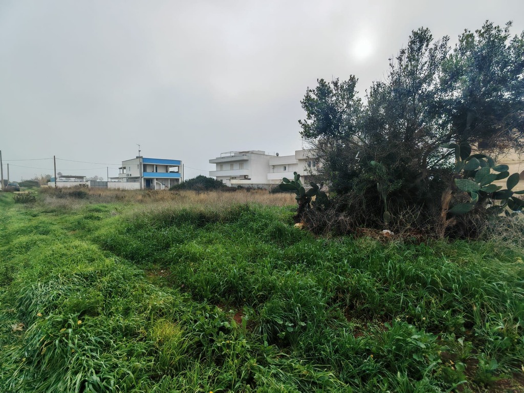 Giano Group Immobiliare